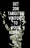 Thumbnail Get 200k Laser Targeted Visitor To Your Niche